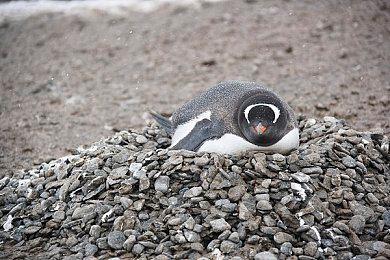 《东京地下杀手》或今夏发布 制作组发布招聘广纳贤才